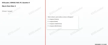 9.webp