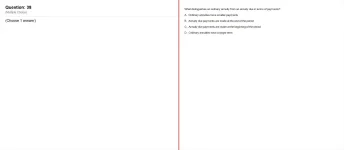 38.webp