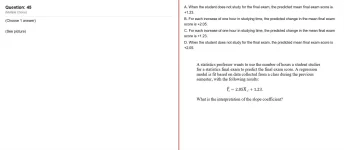 45.webp