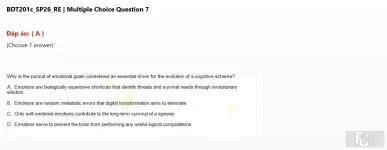 BDT201c SP26 RE_007.webp