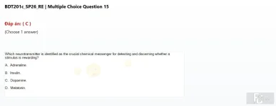 BDT201c SP26 RE_015.webp