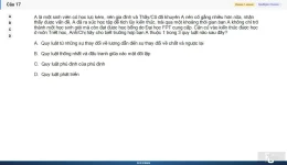 MLN111 SP26 B5 FE RE_017.webp