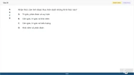 MLN111 SP26 FE_25.webp