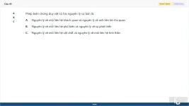 MLN111 SP26 FE_44.webp