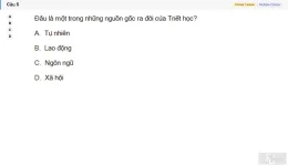 MLN111 SU26 FE_005.webp