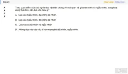 MLN111 SU26 FE_023.webp