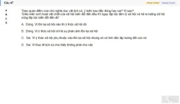 MLN111 SU26 FE_047.webp