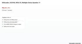 Q_011.webp