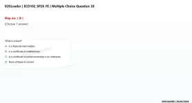 Q_038.webp