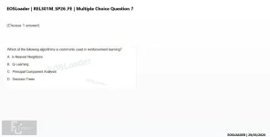 mc_question_7.webp