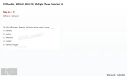 Q_014.webp