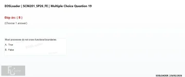 Q_019.webp