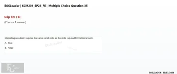 Q_035.webp