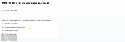 Q_026.webp