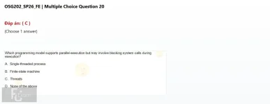 Q_020.webp