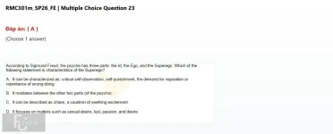 Q_006.webp