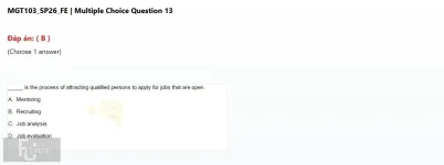 Q_013.webp