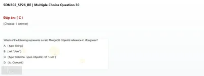 SDN302 SP2026 FE RE_030.webp