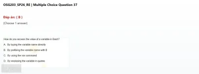 OSG203 SP26 FE RE_37.webp