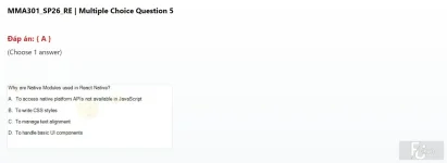 MMA301 SP26 FE RE_005.webp