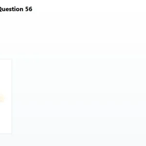 SWT301 SP26 FE RE_056.webp