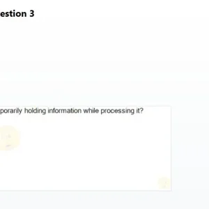 Media 'SSA101 SP26 FE RE_003.webp' in category 'SSA101'