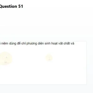 MLN111 SP26 B5 FE_51.webp