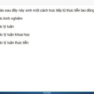MLN111 SP26 B5 FE RE_010.webp