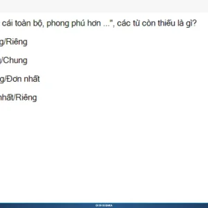 MLN111 SP26 B5 FE RE_057.webp