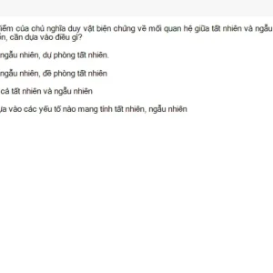 MLN111 SU26 FE_023.webp