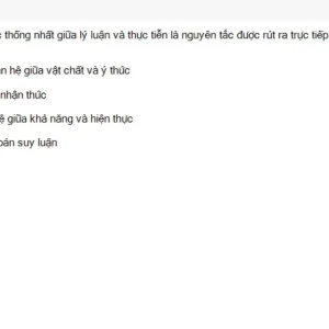 MLN111 SU26 FE_027.webp