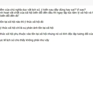 MLN111 SU26 FE_047.webp