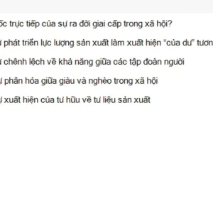 MLN111 SU26 FE_056.webp