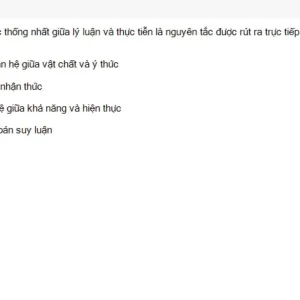 MLN111 SU26 C2FE_027.webp