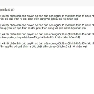 MLN111 SU26 C2FE_043.webp
