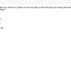 MLN111 SU26 C2FE_045.webp
