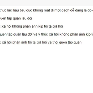 MLN111 SU26 C2FE_046.webp