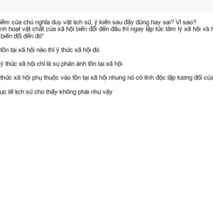 MLN111 SU26 C2FE_047.webp