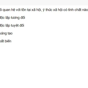 MLN111 SU26 C2FE_050.webp