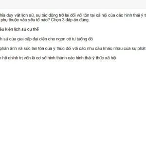 MLN111 SU26 C2FE_057.webp