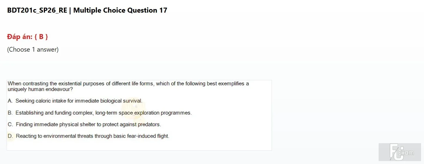 BDT201c SP26 RE_017.webp