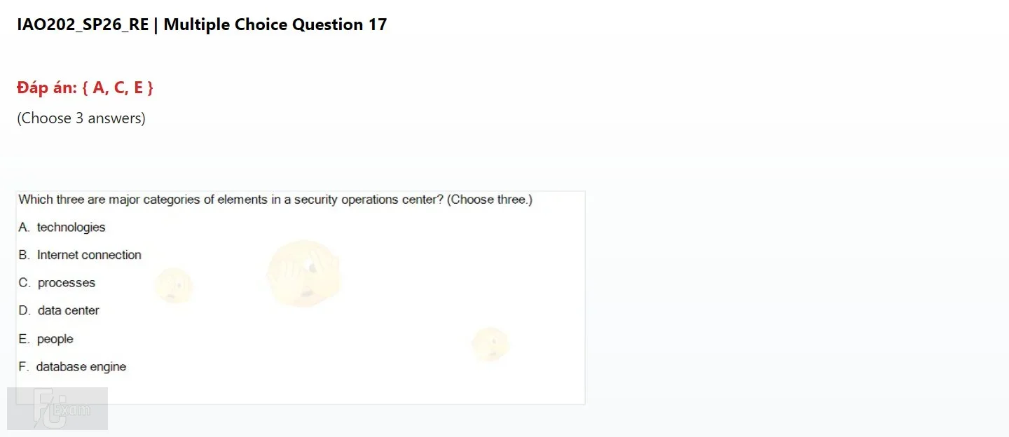 IAO202 SP26 FE RE_017.webp