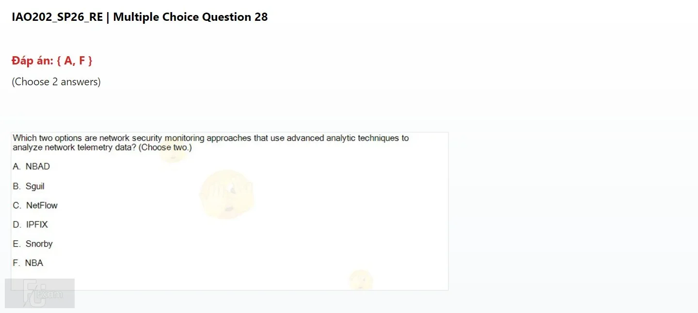 IAO202 SP26 FE RE_028.webp