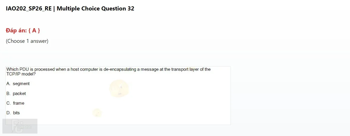 IAO202 SP26 FE RE_032.webp