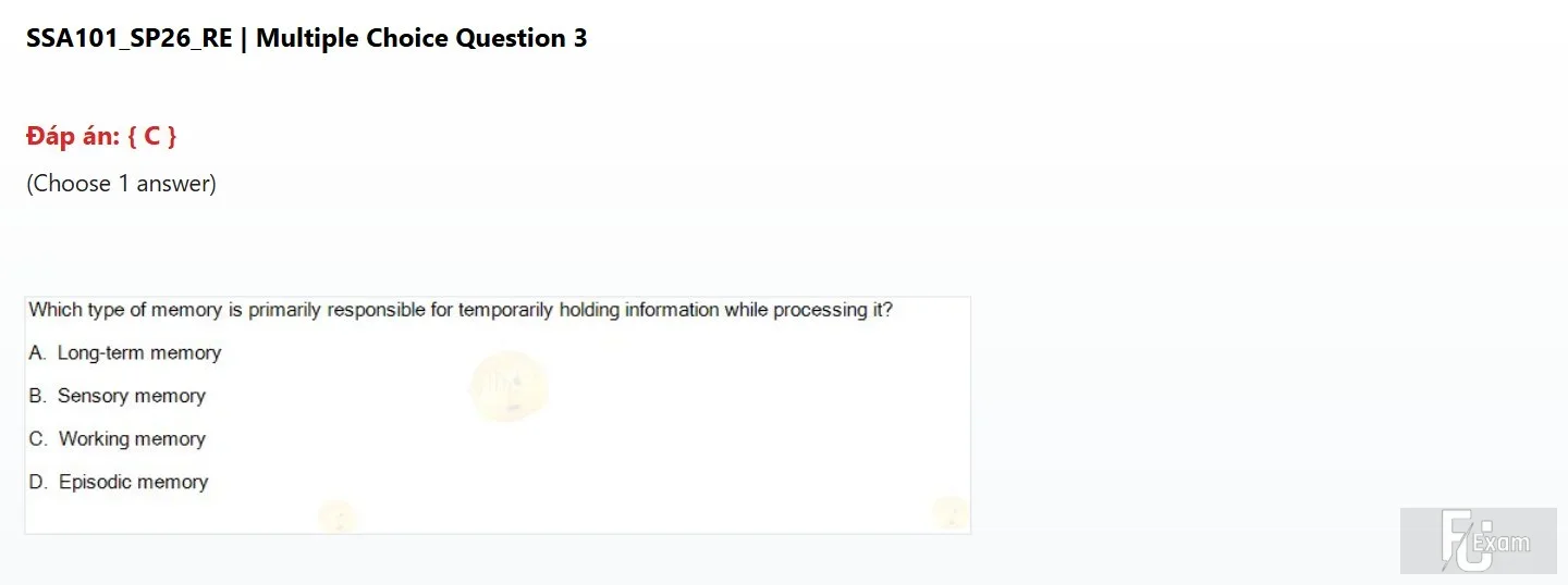 SSA101 SP26 FE RE_003.webp